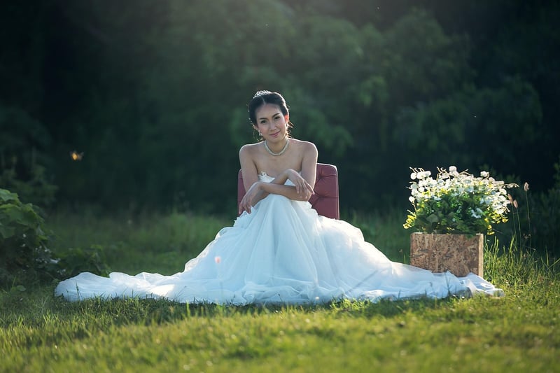 Birdcage Veil